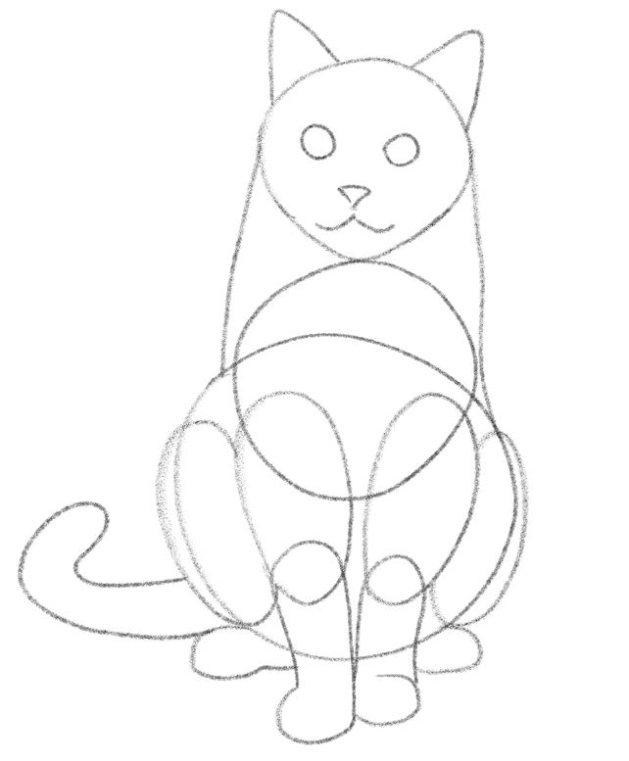 Easy Steps To Draw A Cat Body: A Beginner’s Guide To Feline Anatomy