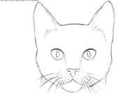 Easy Step-by-Step Guide: Drawing A Cute Cat Face For Beginners