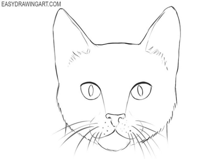 Easy Step-by-Step Guide: Drawing A Cute Cat Face For Beginners