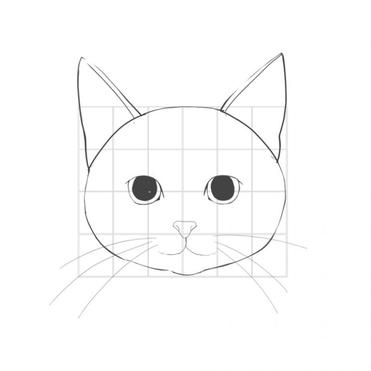 Backdate 3 How To Draw A Cat () How To Draw A Basic Face  MediBang Paint