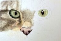 How To Draw A Realistic Cat: Easy Step-by-Step Guide For Beginners