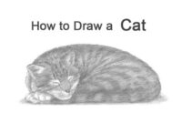 Learn How To Easily Draw A Cat Lying Down In 4 Simple Steps