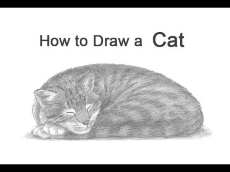 Learn How To Easily Draw A Cat Lying Down In 4 Simple Steps