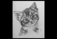 Easy Steps To Draw A Realistic Cat: A Beginner’s Guide