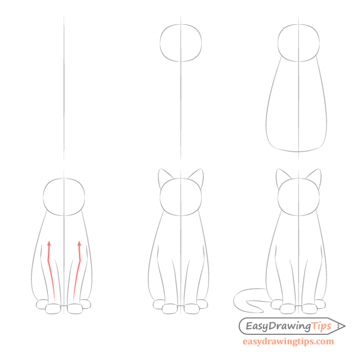 Backdate 5 How To Draw A Cat Step By Step - EasyDrawingTips