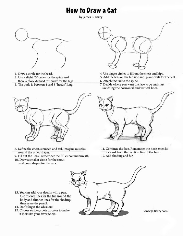 Backdate 5 How To Draw A Cat