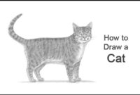 Learn How To Easily Draw A Cat With This Fun Video Tutorial!