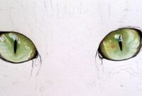 Easily Master The Art Of Drawing A Cat’s Eye With Simple Steps