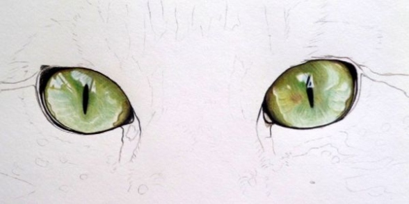 Easily Master The Art Of Drawing A Cat’s Eye With Simple Steps