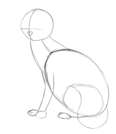 Easy Steps On Drawing A Cat’s Body: A Beginner’s Guide