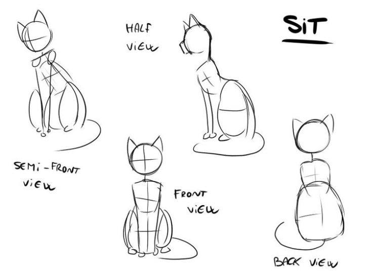 Step-by-Step Guide: Drawing A Cat Sitting Like A Pro