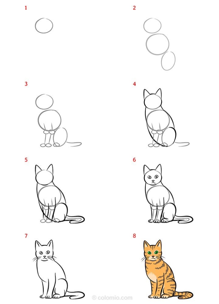 Niche Utama 1 Easy Cat Drawing Ideas » How To Draw A Cat Step By Step