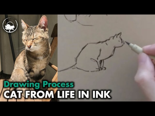 Niche Utama 1 How I Draw My Cat From Life - Drawing Tutorial + Sketchbook Tour