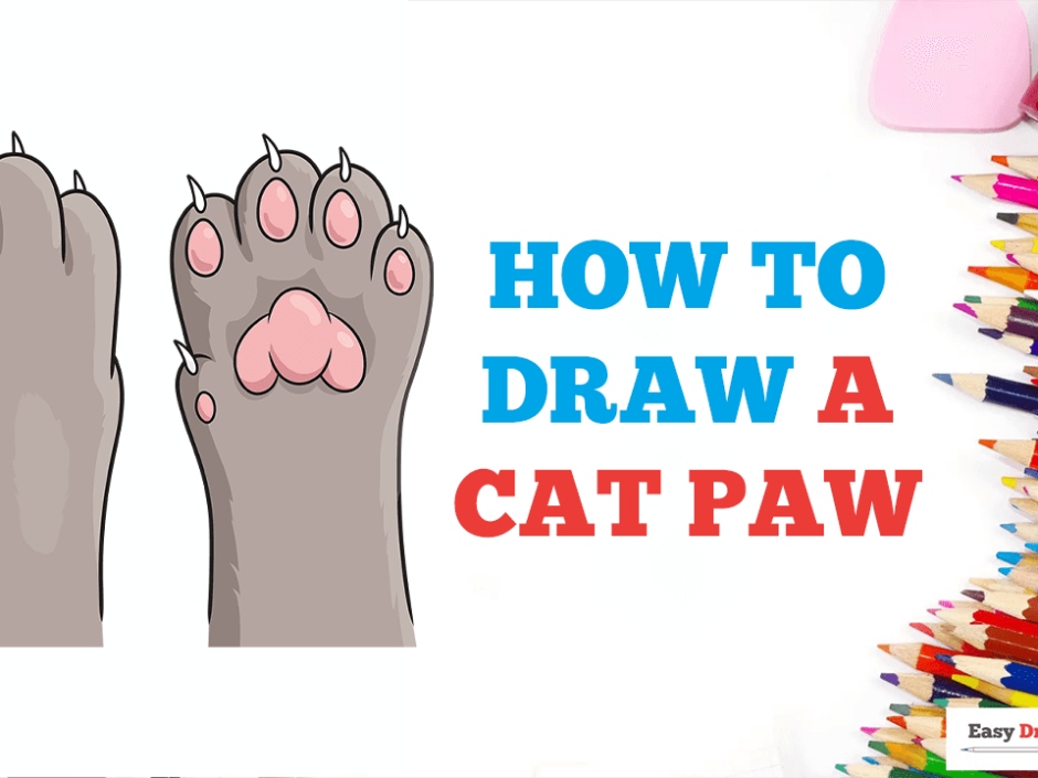 Niche Utama 1 How To Draw A Cat Paw In A Few Easy Steps: Drawing Tutorial For Kids And  Beginners