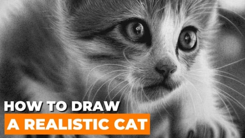 Master The Art Of Drawing A Realistic Cat With These Easy Steps