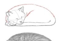 Learn How To Draw A Cute Sleeping Cat In Easy Steps