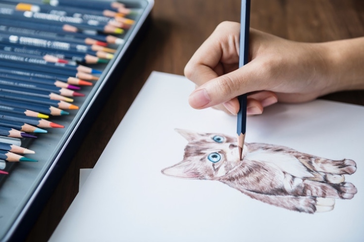 Easy Step-by-Step Guide For Drawing A Realistic Cat In Simple English