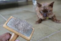 Say Goodbye To Cat Dander: Expert Tips For A Fur-Free Home