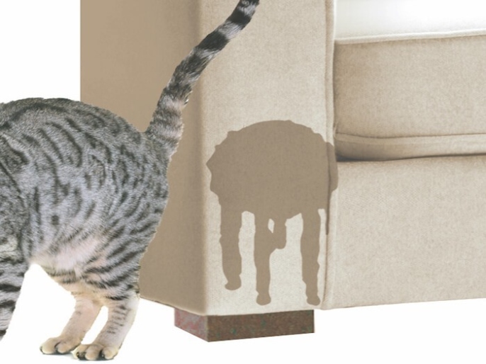 Purr-fectly Hidden: Uncovering The Elusive Trail Of Cat Urine In Your Home