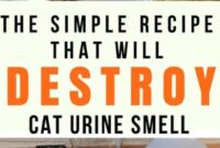 Say Goodbye To Stubborn Cat Urine Odor With These Unconventional Tips!