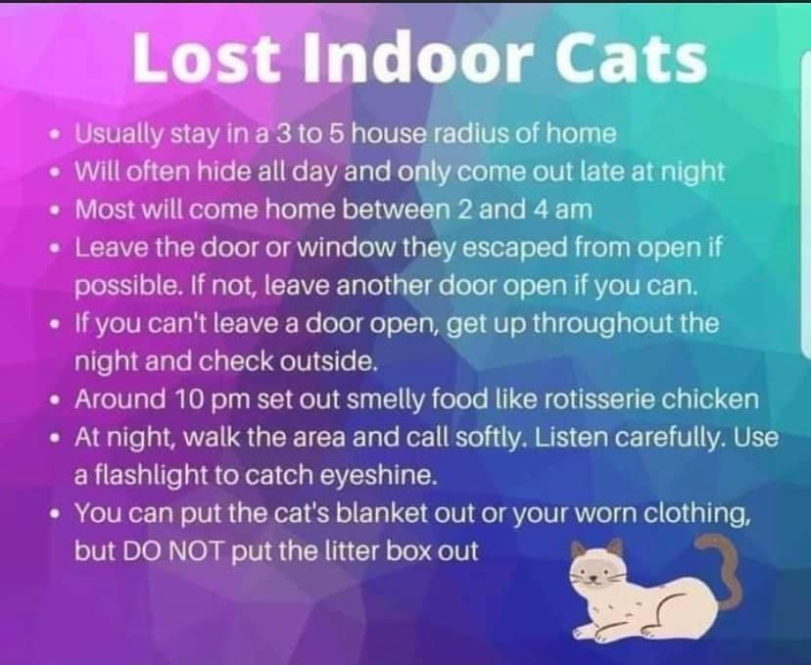 Niche Utama 2 Guide To Help Find A Lost Cat : R/coolguides