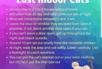 Unleash The Search: Top Tips For Tracking Down A Runaway Cat