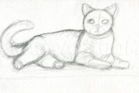 Unleash Your Inner Artist: Master The Art Of Drawing Realistic Cats With These Expert Tips