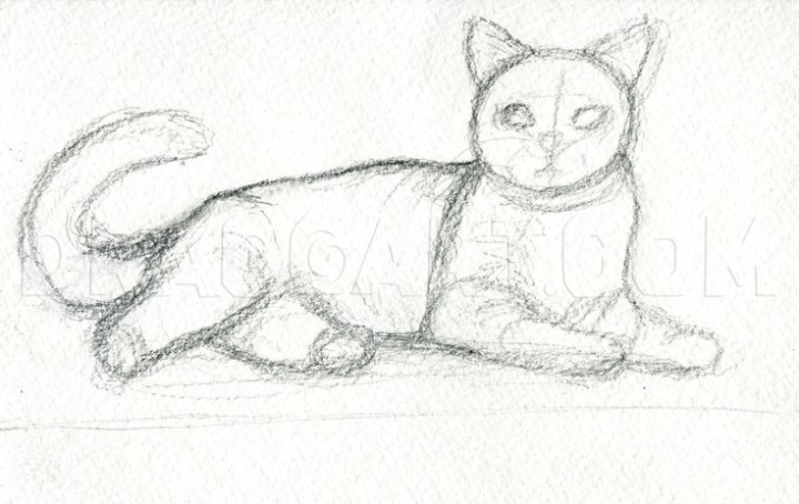 Unleash Your Inner Artist: Master The Art Of Drawing Realistic Cats With These Expert Tips