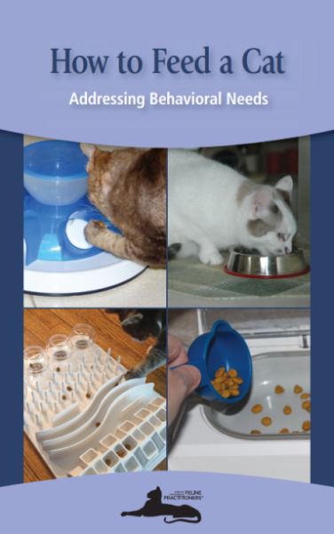 Niche Utama 2 How To Feed A Cat - Cat Friendly Homes