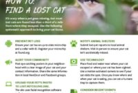 Unlocking The Mystery: A Step-by-Step Guide On How To Find Your Elusive Cat