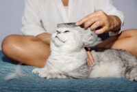 Cat Flea Fiasco: The Ultimate Guide To Banishing Fleas From Your Feline Friend For Good