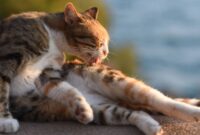 Whisker Whispering: Unleashing The Secret To Encouraging Your Cat To Groom Itself Naturally