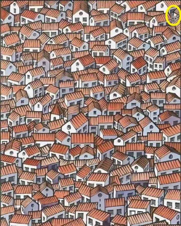 Niche Utama 2 Optical Illusion Challenge: Can You Find A Cat Among The Houses In