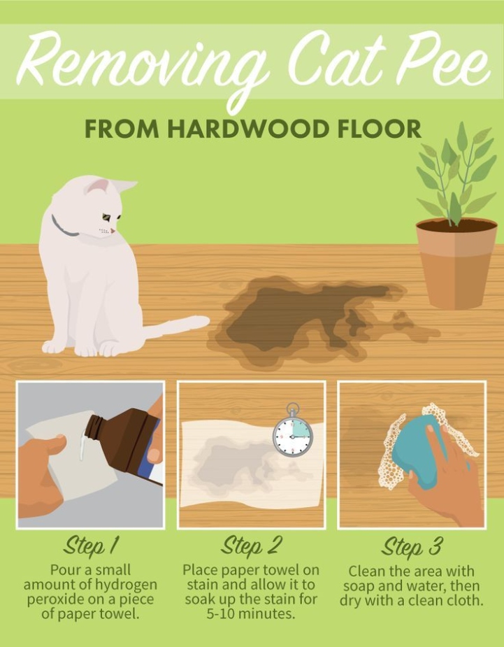 Unleash The Secret Weapon: The Ultimate Guide To Banishing Lingering Cat Urine Odor From Wood Surfaces