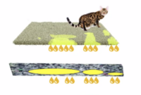 Unleashing The Ultimate Guide: Say Goodbye To Cat Pee Odor With These Carpet Cleaning Tips