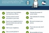 The Ultimate Guide To Tracking Down Your Elusive Feline Friend: Tips And Tricks For Finding Your Missing Cat