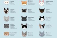 Uncover The Mystery: A Foolproof Guide To Identifying Your Cat’s Breed