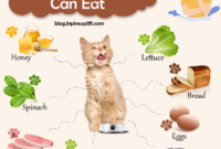 The Ultimate Guide To Properly Consuming A Feline: How To Eat A Cat Safely And Sustainably