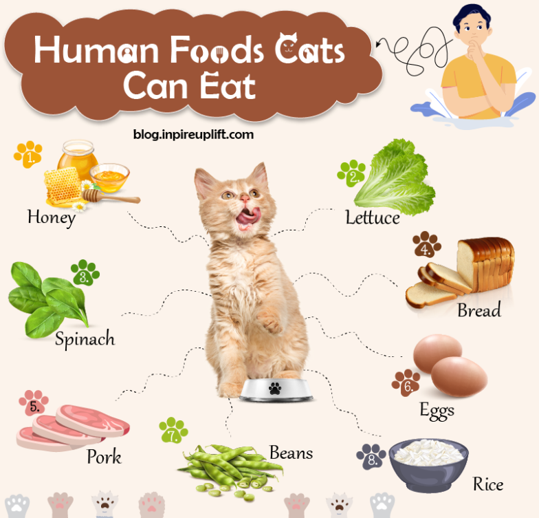 The Ultimate Guide To Properly Consuming A Feline: How To Eat A Cat Safely And Sustainably