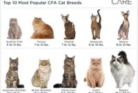 Unveiling The Feline Mystery: A Guide To Determining Your Cat’s Breed